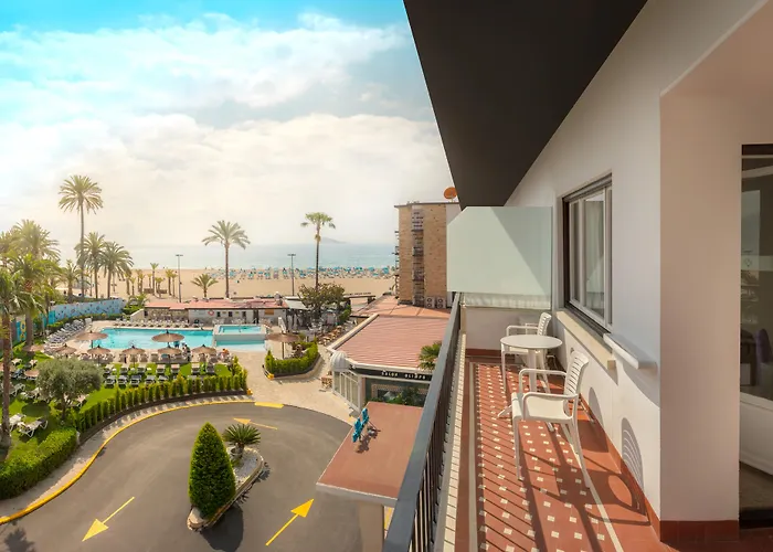 Gran Delfin Benidorm