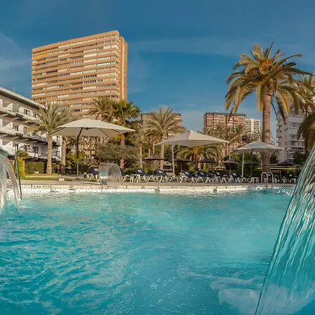 Gran Delfin Benidorm