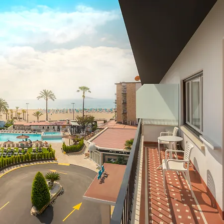 Gran Delfin Benidorm